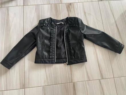 Bundička, coccodrillo,110