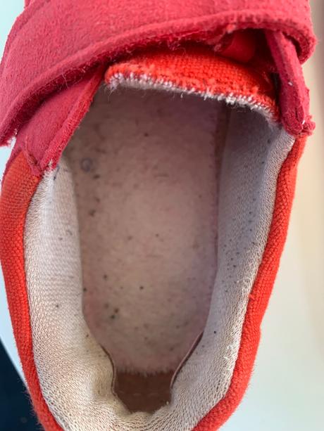 Blifestyle crocodile, 36