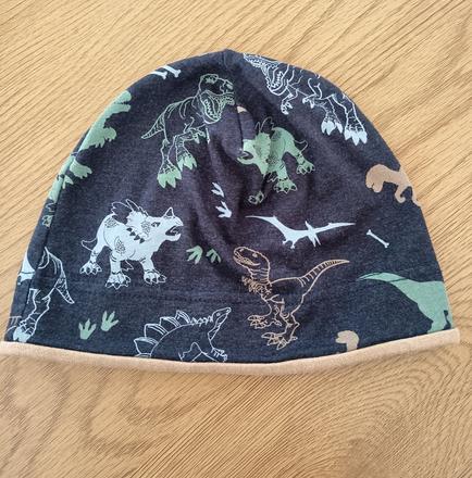 Čiapočka s dinosaurami, 98