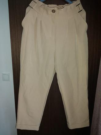 Nohavice, river island,42