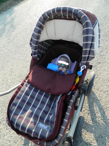 Kočík a kárička v jednom, roan