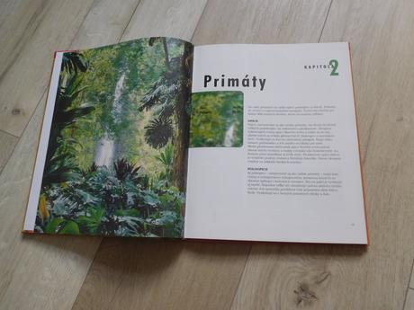 Cicavce---30 x 24 cm, 96 strán, 