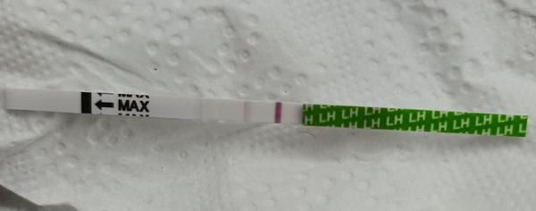 Ovulácia a vplyv Progestanelle