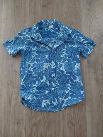 Kosela gap 5 years, gap,110