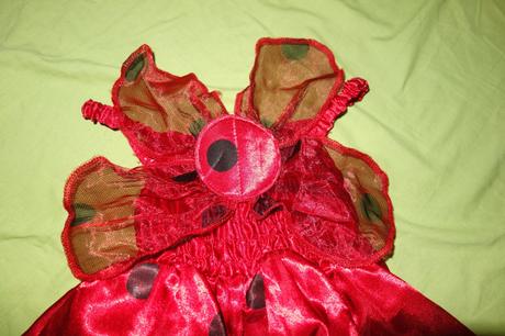 Lienkovy kostymcek ladybird,