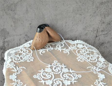 Nos havko-na karneval, 