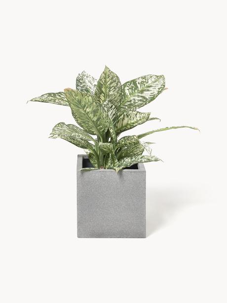 Betónový kvetináč obal na kvety kocka nádoba, 