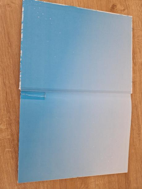 Kniha snežné víly,