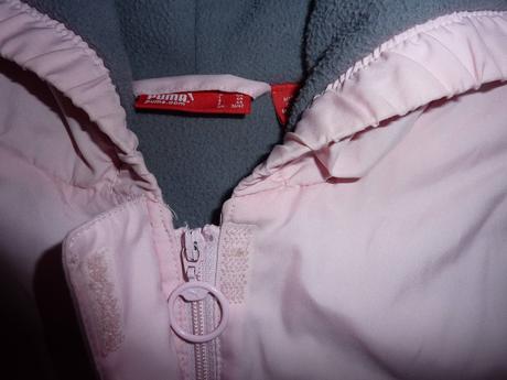 Puma bunda aj na zimu, puma,104