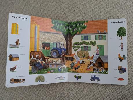 Prvé ilustrované knižky,