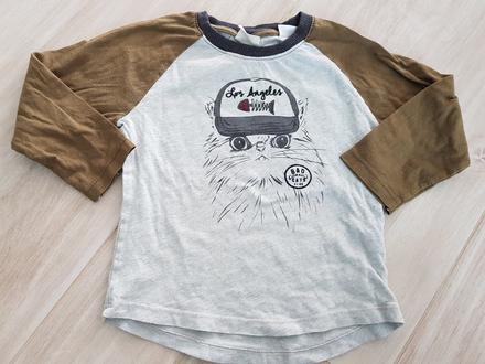 Tricko kocur, zara,86