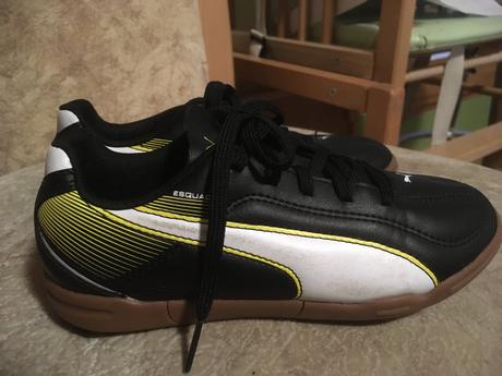 Halovky puma, puma,33