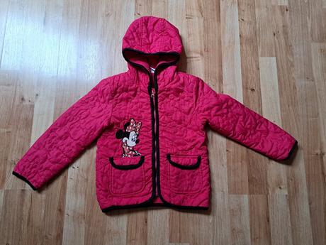 Vetrovka, disney,116