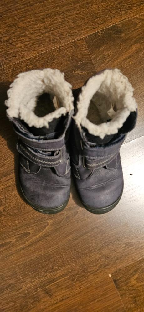 Filii zimne v. 29, filii,29