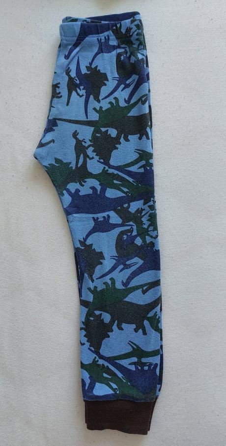 Pyzamko s dinosaurom, 98