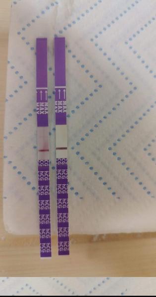 Test Slniečko: Diskusia a názory na fórum