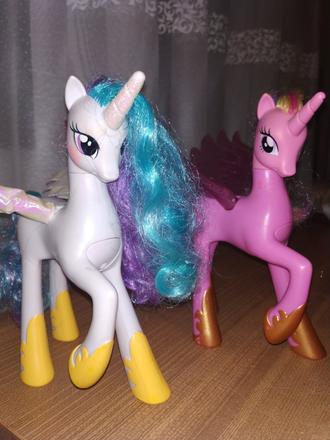Little pony, 