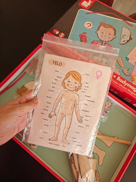 Magnetické ľudské telo (janod), 