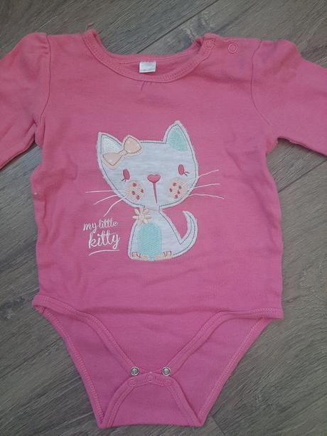 Mačičkové, pepco,80