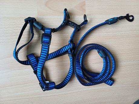 Voditka pre psíkov + darček k nákupu, 