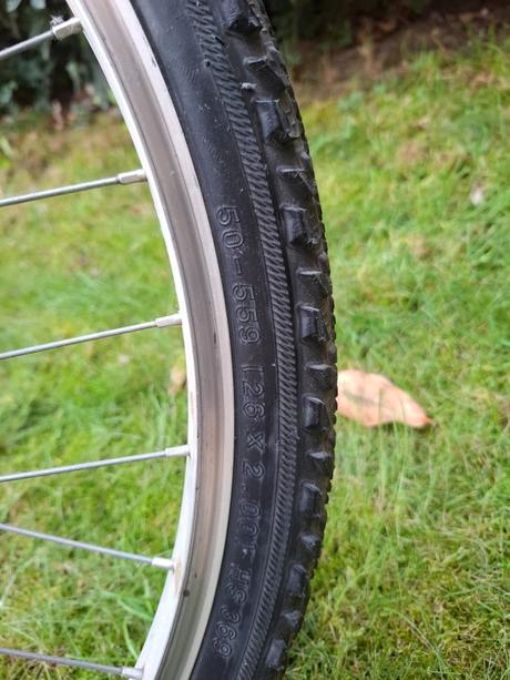 Macalu globe trotter, 26