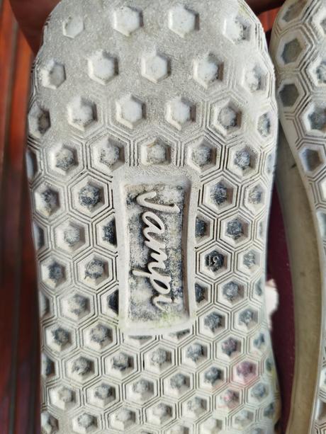 Jonap fella 31 (jampi, jonap,31