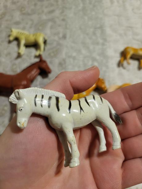 Zvierata - kone a zebry,