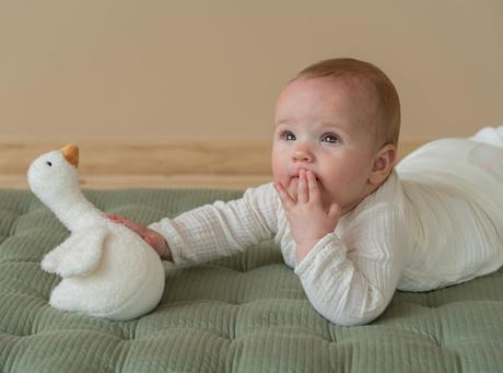 Little dutch roly-poly goose,