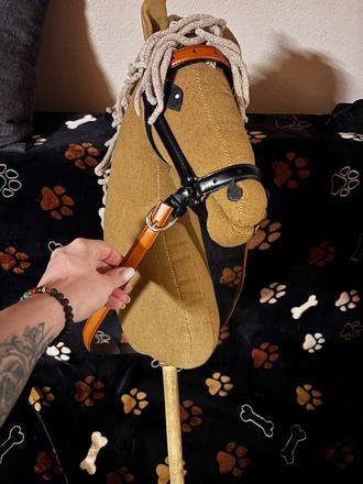 Hobby horse,