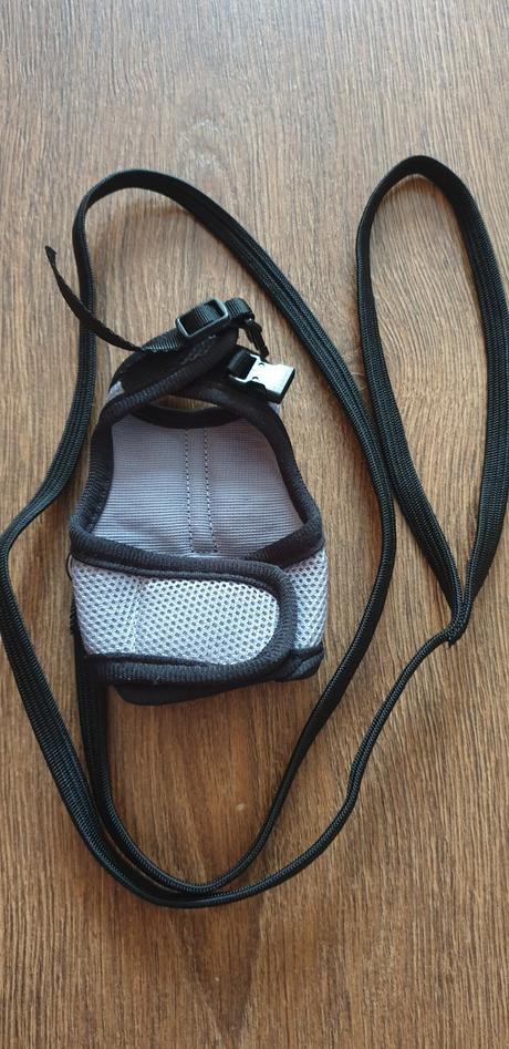 Voditko na prechadzky pre potkanika, 