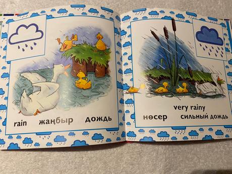 Rusko anglická knižka aua paůbi weather pagoda,