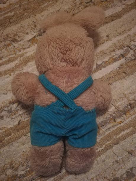 Zajacik v nohaviciach, 