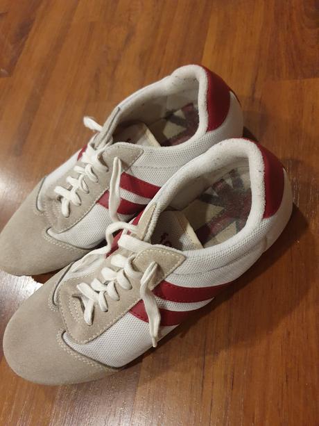 Halovky veľ. 37, 37