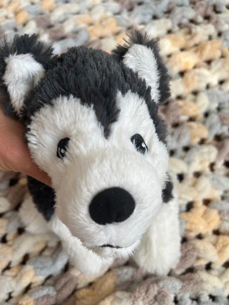 Pes husky plyšový,
