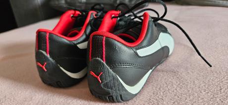 Halovky puma, puma,35