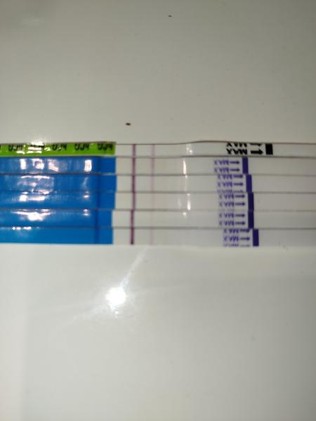 Kolísanie výsledkov tehotenských testov