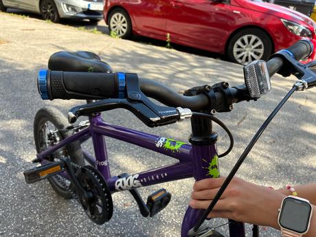 Bicykel frog 43, 14