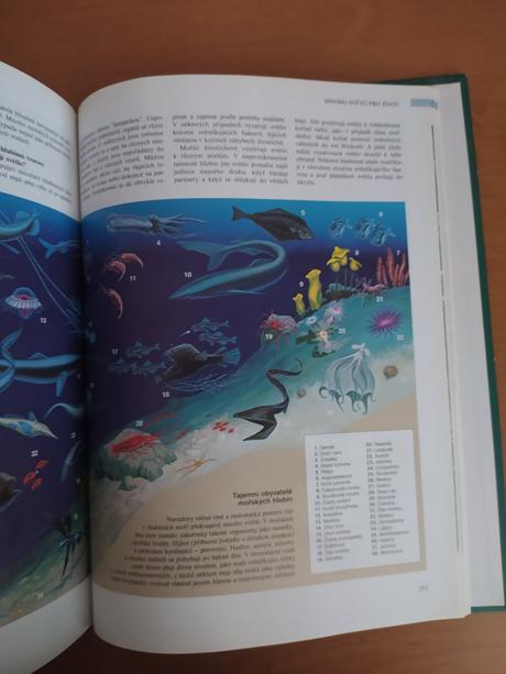 Abc prírody - svet v otázkach a odpovediach (1997), 