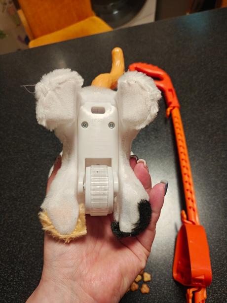 Mačiatko na vodítku, 