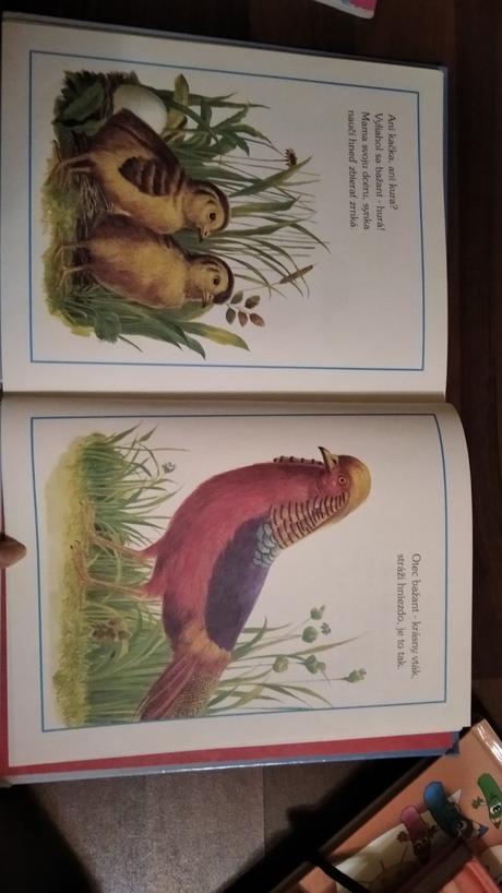 Ja som malé šteniatko,budem veľké zakrátko,