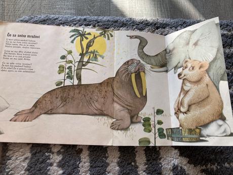 Čo sa sníva mrožovi (1969), 