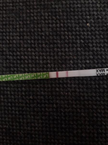 Môj ovulačný test