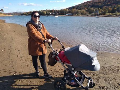 Bugaboo cameleon 3plus, bugaboo,bugaboo cameleon 3 plus