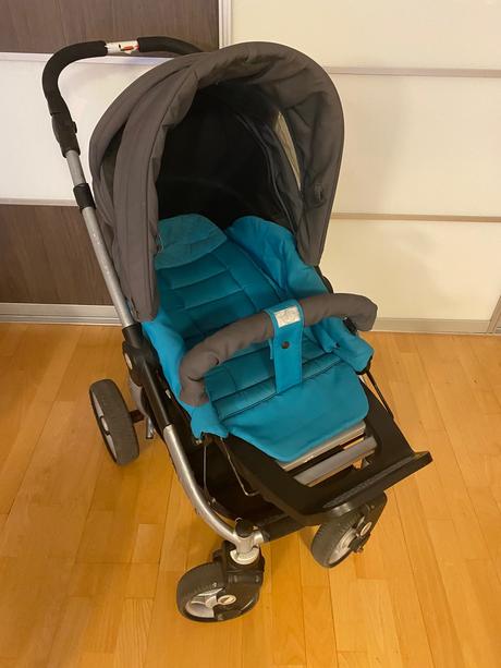 Kocik teutonia, teutonia,teutonia cosmo