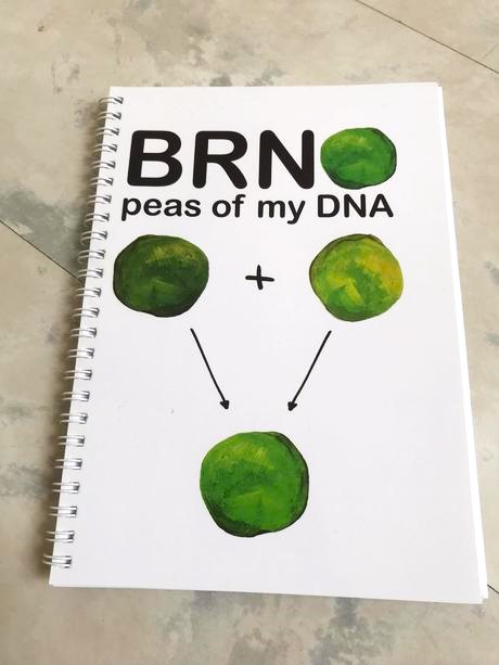 Zápisníky a5 - 3 ks,