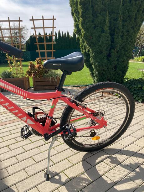 Bicykel mayo 24 basic v, 24