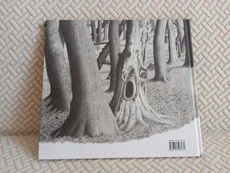 Anthoney browne - into the forest hb, 