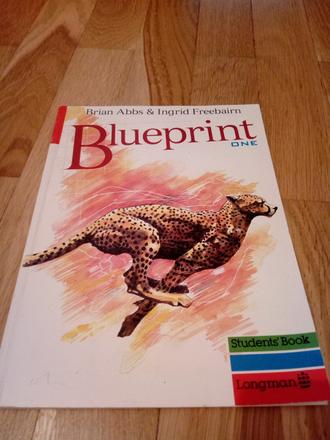 Kniha blueprint one, 