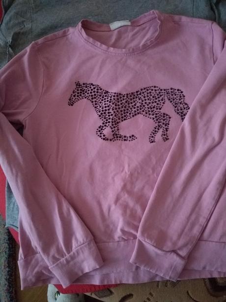 Pulover, coccodrillo,164