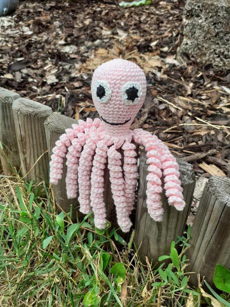 Hackovana chobotnicka, 